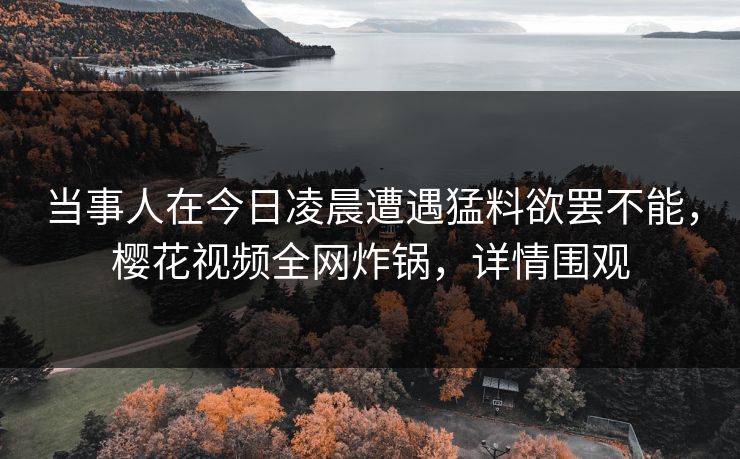 当事人在今日凌晨遭遇猛料欲罢不能，樱花视频全网炸锅，详情围观