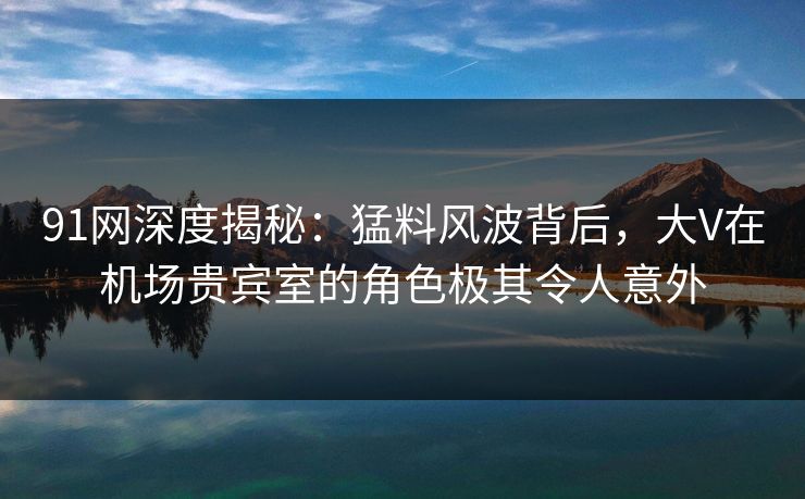 91网深度揭秘：猛料风波背后，大V在机场贵宾室的角色极其令人意外