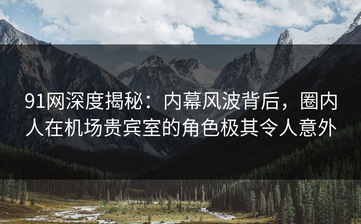 91网深度揭秘：内幕风波背后，圈内人在机场贵宾室的角色极其令人意外
