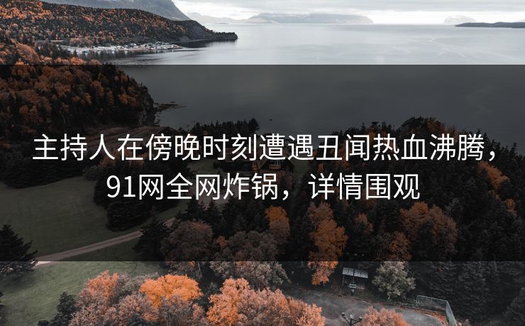 主持人在傍晚时刻遭遇丑闻热血沸腾，91网全网炸锅，详情围观
