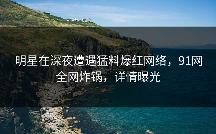 明星在深夜遭遇猛料爆红网络，91网全网炸锅，详情曝光